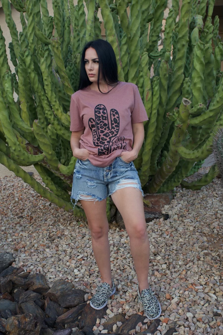 Cactus Stay Wild
